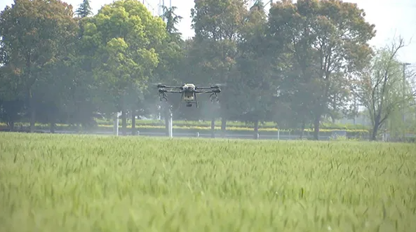 江蘇海門：打造數(shù)字化高標(biāo)準(zhǔn)農(nóng)田，為鄉(xiāng)村振興蓄勢賦能