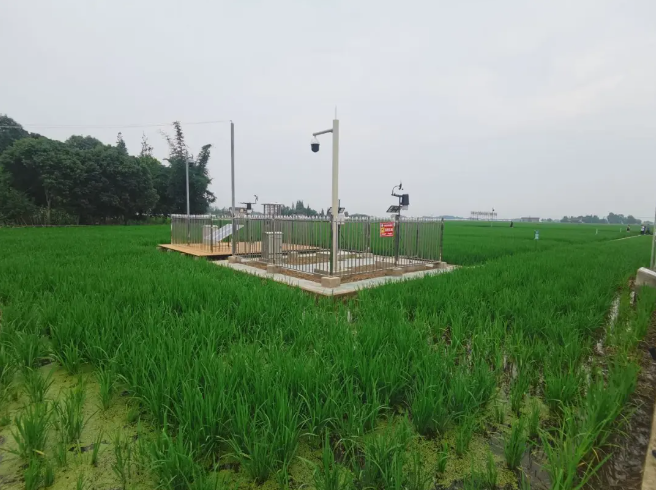 耕地質(zhì)量綜合監(jiān)測點，邛崍現(xiàn)代農(nóng)業(yè)的新探索和實踐