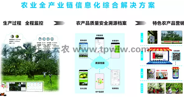 碭山數(shù)字果園物聯(lián)網