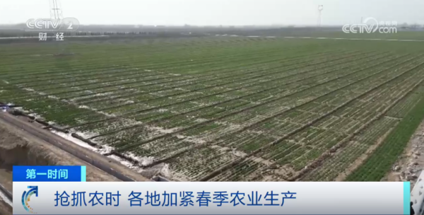 心系糧安、山田無(wú)阻、服務(wù)有恒|托普云農(nóng)2025年智能裝備巡檢服務(wù)全面啟動(dòng)