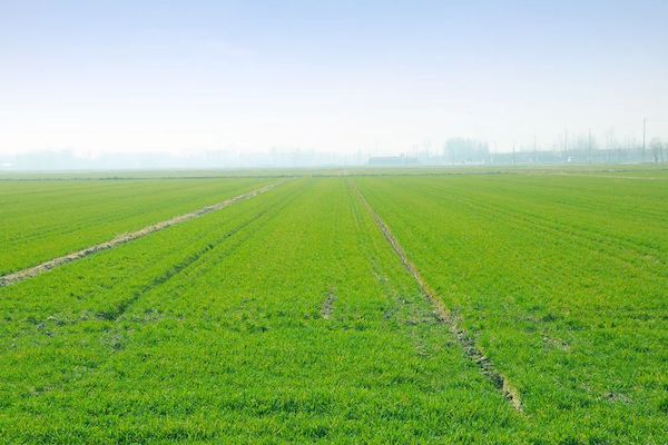 科技賦能春耕，托普云農(nóng)智慧農(nóng)情監(jiān)測站再獲央視關(guān)注