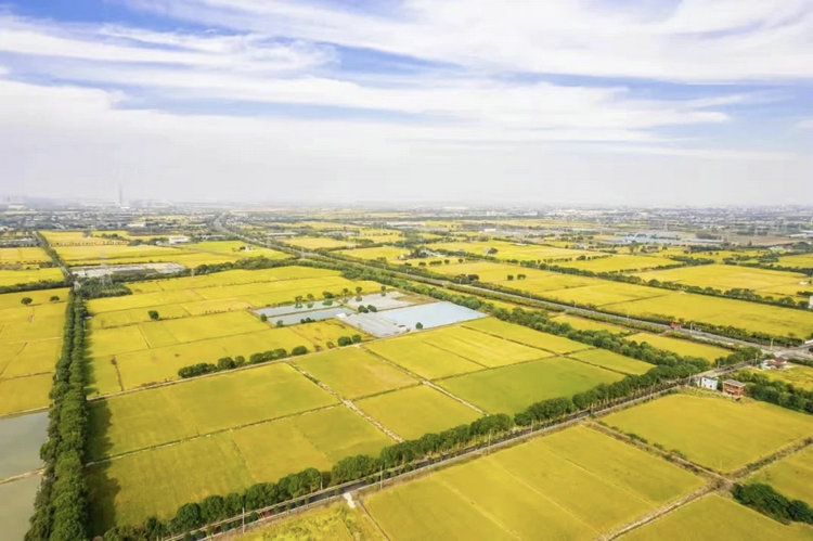 未來(lái)農(nóng)場(chǎng)解決方案