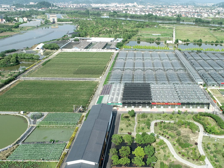 現(xiàn)代農業(yè)園區(qū)綜合解決方案