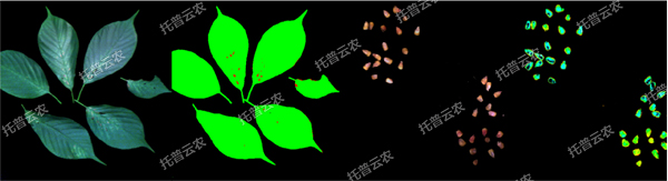 1722995310993469.jpg 1722995310993469.jpg