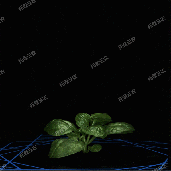 1723170572353490.gif 合成 3_11.gif