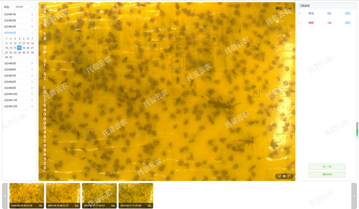 1757558874590136.png 智能識別 自動計數(shù).png